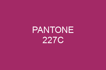 Peinture Pantone 227C