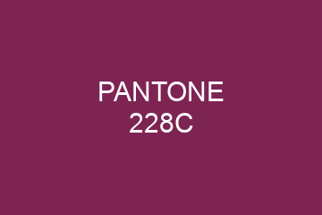 Peinture Pantone 228C