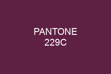 Peinture Pantone 229C