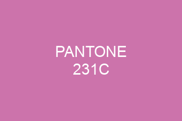 Peinture Pantone 231C