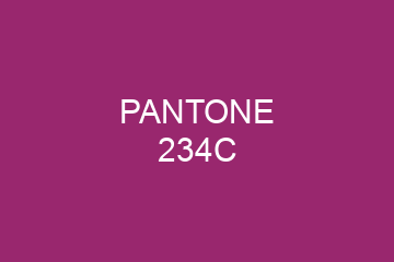 Peinture Pantone 234C