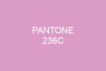 Peinture Pantone 236C