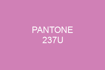 Peinture Pantone 237U