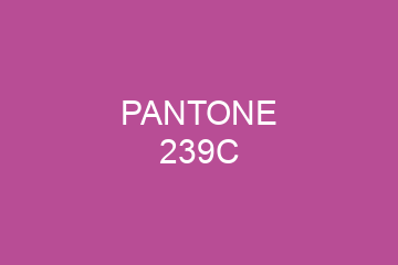 Peinture Pantone 239C