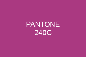 Peinture Pantone 240C