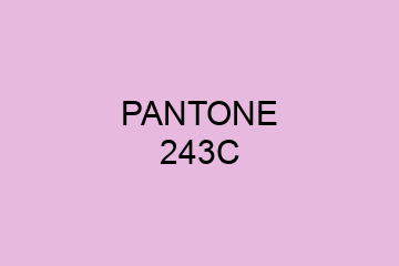 Peinture Pantone 243C