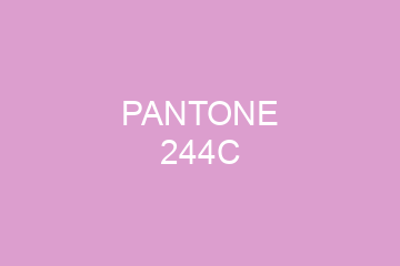 Peinture Pantone 244C