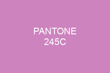 Peinture Pantone 245C