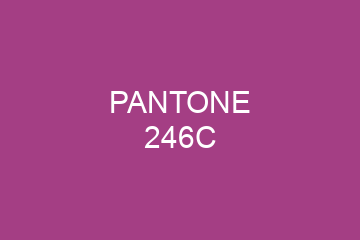 Peinture Pantone 246C