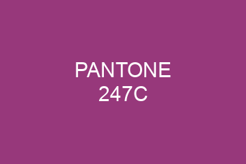 Peinture Pantone 247C