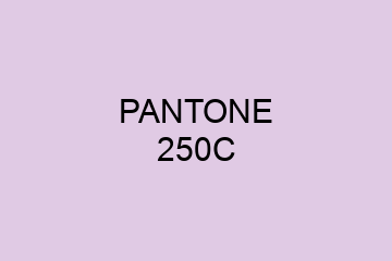 Peinture Pantone 250C