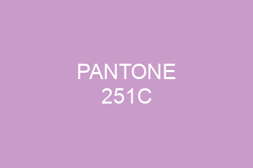 Peinture Pantone 251C