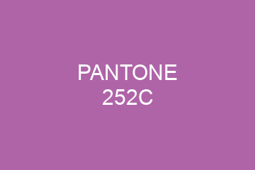 Peinture Pantone 252C