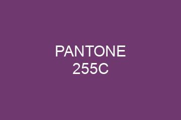 Peinture Pantone 255C