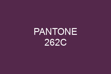 Peinture Pantone 262C