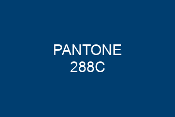 Peinture Pantone 288C