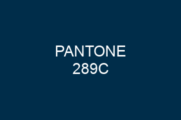 Peinture Pantone 289C