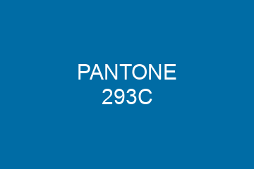 Peinture Pantone 293C