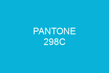 Peinture Pantone 298C