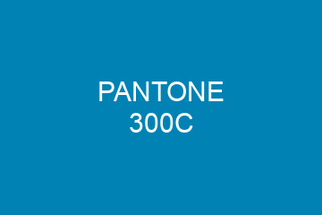 Peinture Pantone 300C