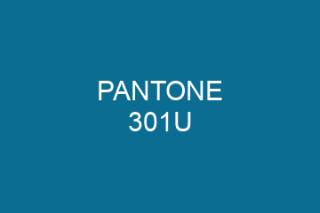 Peinture Pantone 301U