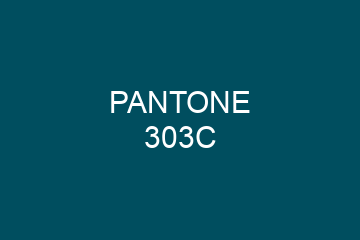 Peinture Pantone 303C