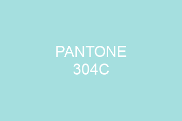 Peinture Pantone 304C