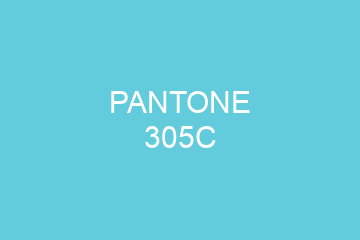 Peinture Pantone 305C