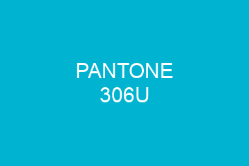 Peinture Pantone 306U