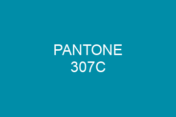 Peinture Pantone 307C