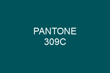 Peinture Pantone 309C