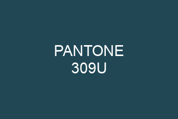 Peinture Pantone 309U