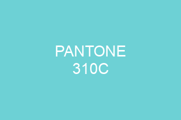 Peinture Pantone 310C