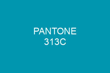 Peinture Pantone 313C