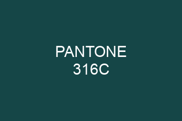 Peinture Pantone 316C