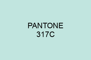 Peinture Pantone 317C