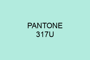 Peinture Pantone 317U