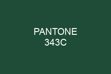 Peinture Pantone 343C