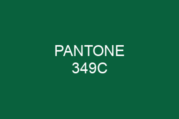 Peinture Pantone 349C