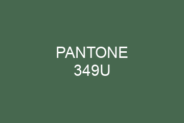 Peinture Pantone 349U