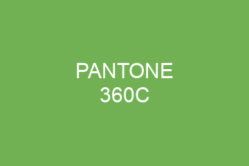 Peinture Pantone 360C