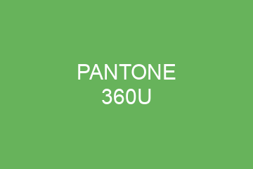 Peinture Pantone 360U