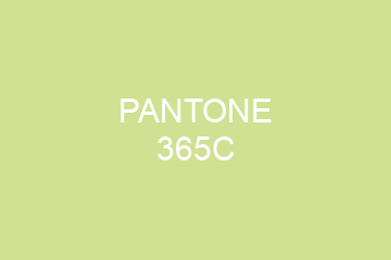 Peinture Pantone 365C