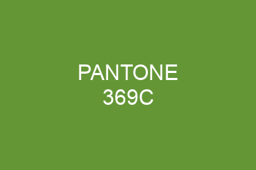 Peinture Pantone 369C