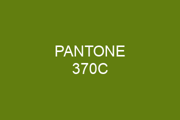 Peinture Pantone 370C