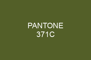 Peinture Pantone 371C