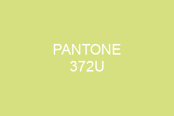 Peinture Pantone 372U