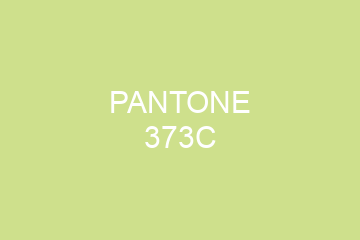 Peinture Pantone 373C