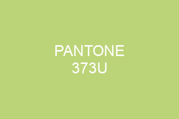 Peinture Pantone 373U