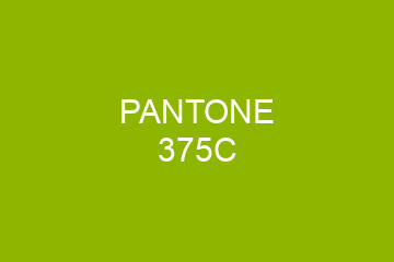 Peinture Pantone 375C